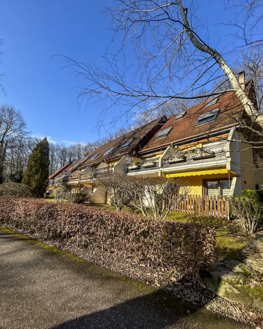 Alfa Immobilier appartement des Hauts de Klingenthal